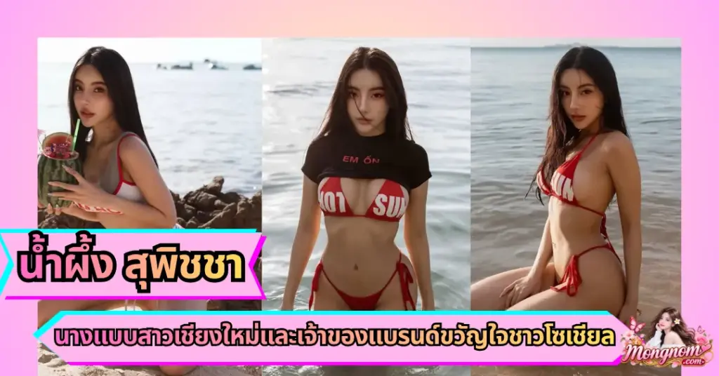น้ำผึ้ง สุพิชชา VK